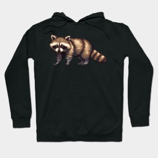 Pixel Raccoon Hoodie